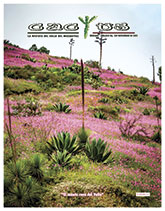 Portada de noviembre 2025